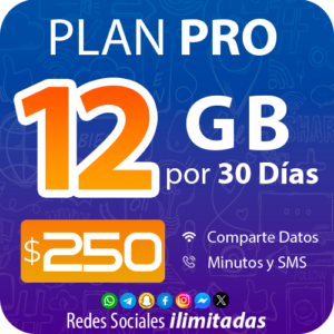 PLAN PRO 12GB