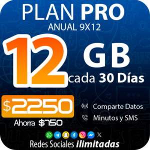 PLAN PRO 12GB ANUAL
